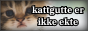 a picture of the cat in the background on the left side of the button with the words "kattgutte er" (newline) "ikke ekte" on the right with white fill and black border and a slight vignette around the button
